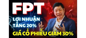 Cổ phiếu NLG